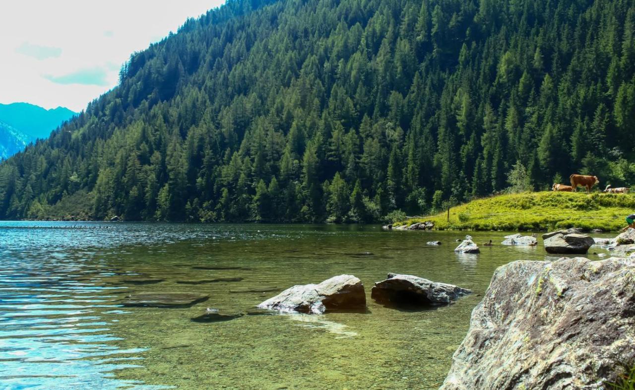 Ferienwohnungen Reinbacher - Primps Schladming Εξωτερικό φωτογραφία