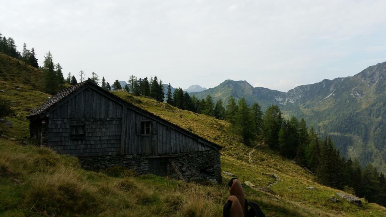 Ferienwohnungen Reinbacher - Primps Schladming Εξωτερικό φωτογραφία